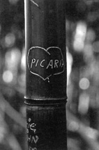 Par Amour