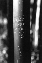 Par Amour
