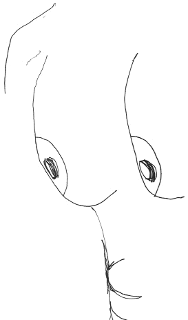 +